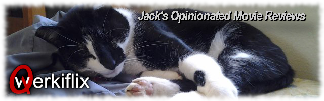 Jack Cat, Qwerkiflix CEO